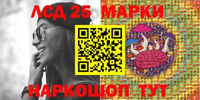 гидропоника Жуковский