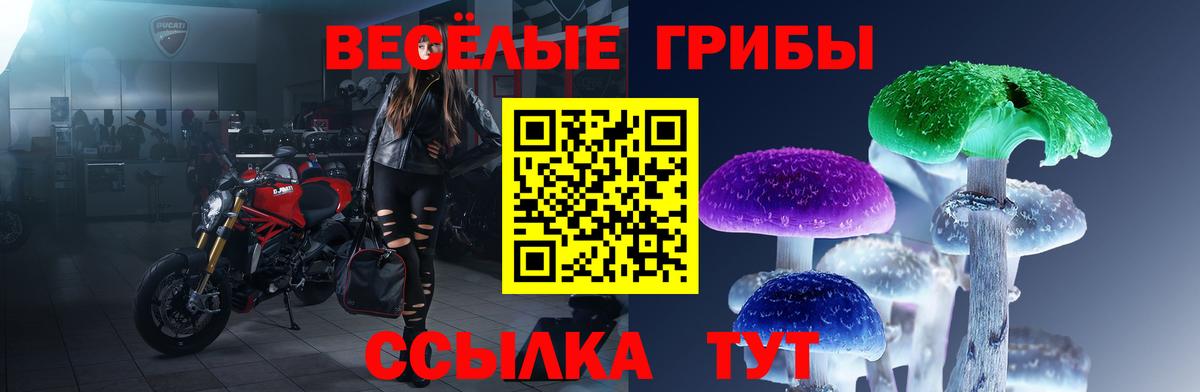 Междуреченск  Галлюциногенные грибы Magic Shrooms  где найти   Вход с VPN 